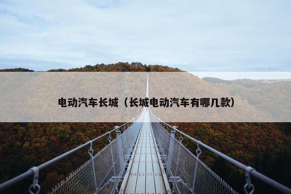 电动汽车长城（长城电动汽车有哪几款）