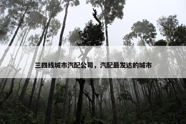 三四线城市汽配公司，汽配最发达的城市