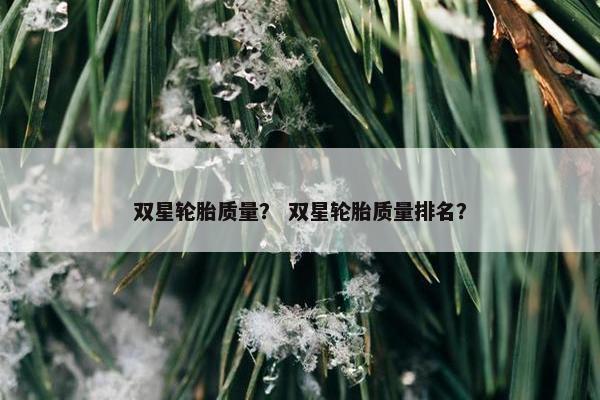 双星轮胎质量？ 双星轮胎质量排名？