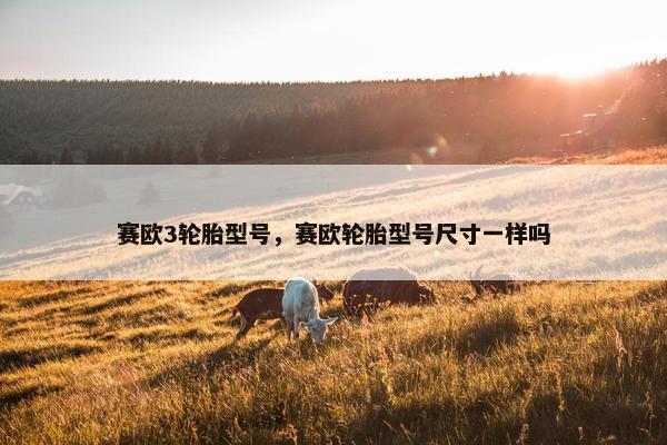 赛欧3轮胎型号，赛欧轮胎型号尺寸一样吗