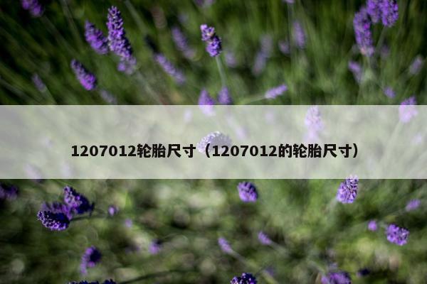 1207012轮胎尺寸（1207012的轮胎尺寸）