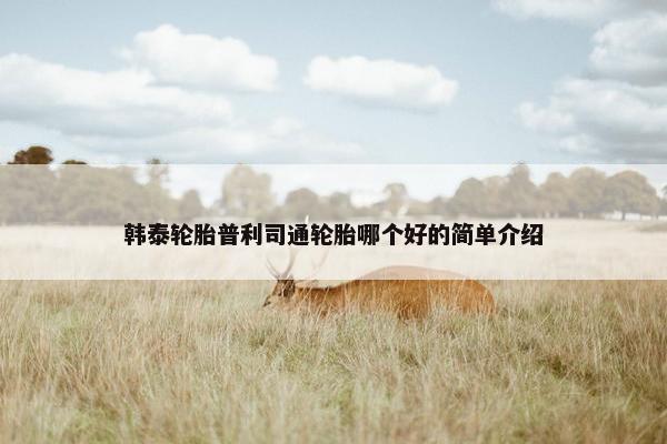 韩泰轮胎普利司通轮胎哪个好的简单介绍