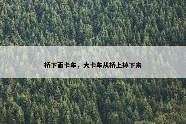 桥下面卡车，大卡车从桥上掉下来