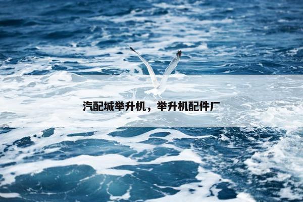 汽配城举升机，举升机配件厂