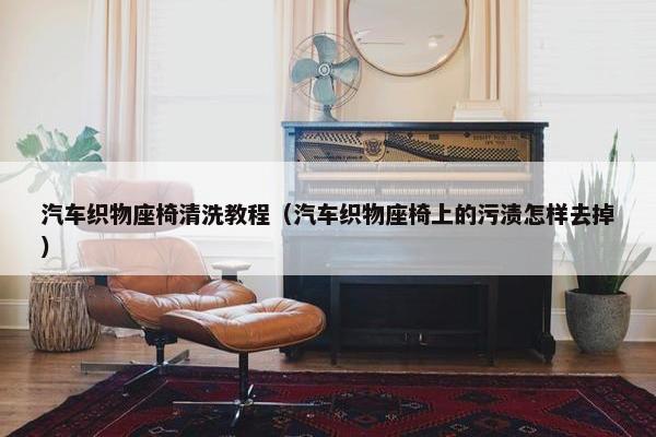 汽车织物座椅清洗教程（汽车织物座椅上的污渍怎样去掉）