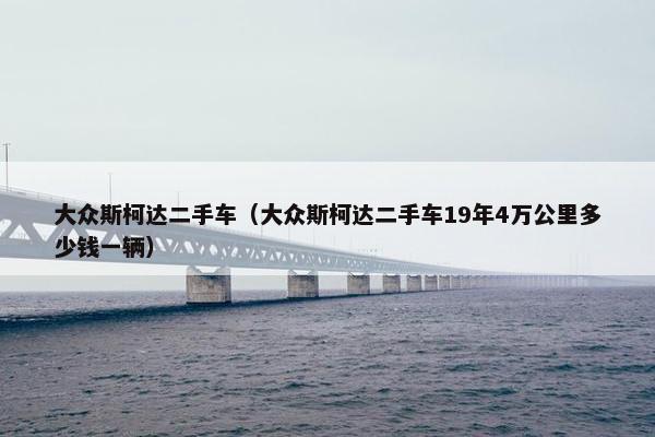 大众斯柯达二手车（大众斯柯达二手车19年4万公里多少钱一辆）