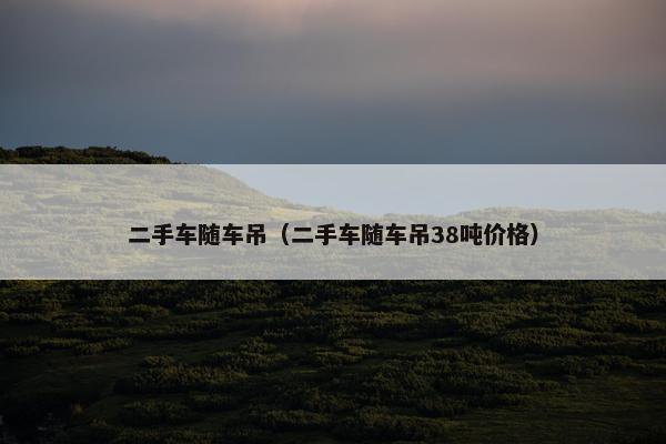 二手车随车吊（二手车随车吊38吨价格）