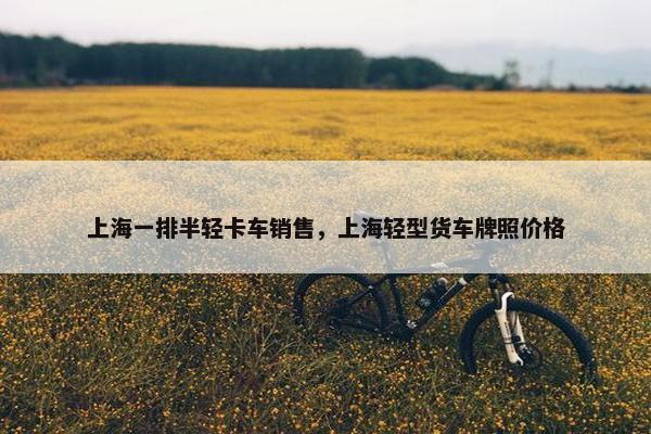 上海一排半轻卡车销售，上海轻型货车牌照价格