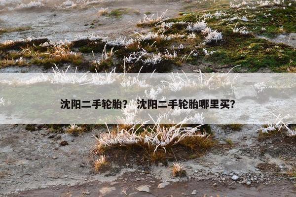 沈阳二手轮胎？ 沈阳二手轮胎哪里买？