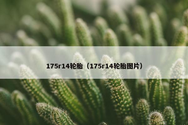175r14轮胎（175r14轮胎图片）