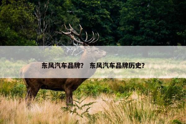 东风汽车品牌？ 东风汽车品牌历史？