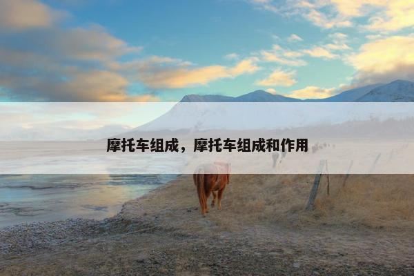 摩托车组成，摩托车组成和作用