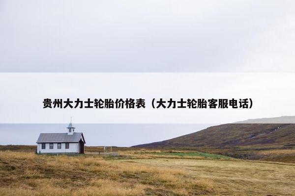 贵州大力士轮胎价格表（大力士轮胎客服电话）