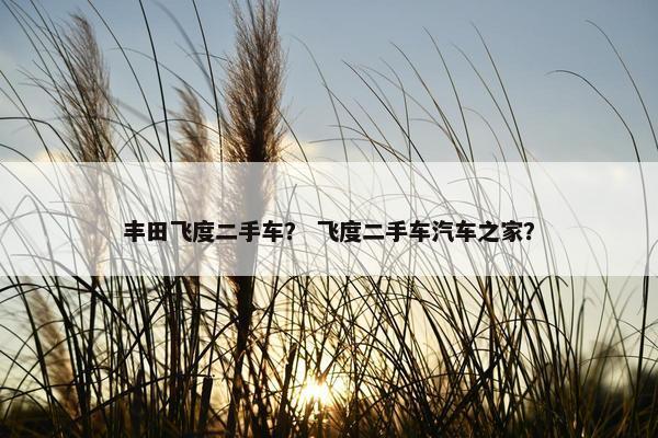 丰田飞度二手车？ 飞度二手车汽车之家？