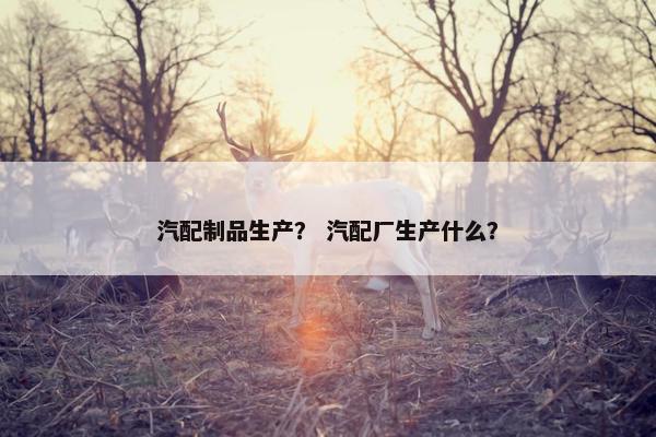 汽配制品生产？ 汽配厂生产什么？