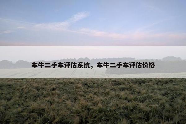 车牛二手车评估系统，车牛二手车评估价格