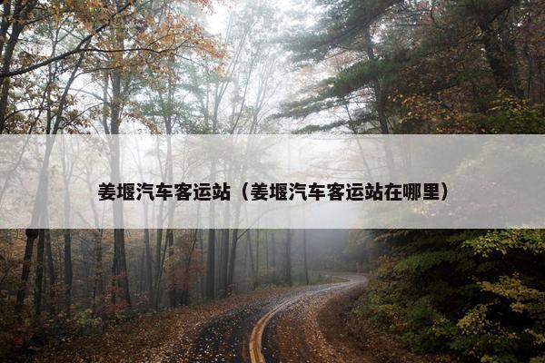 姜堰汽车客运站（姜堰汽车客运站在哪里）