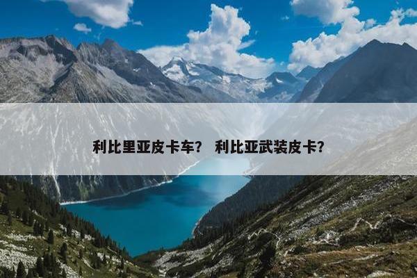 利比里亚皮卡车？ 利比亚武装皮卡？