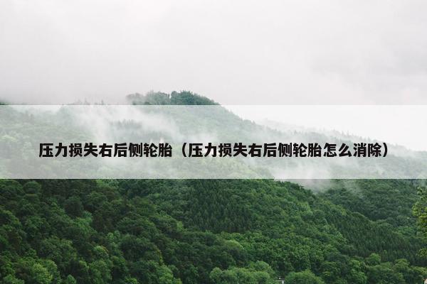 压力损失右后侧轮胎（压力损失右后侧轮胎怎么消除）