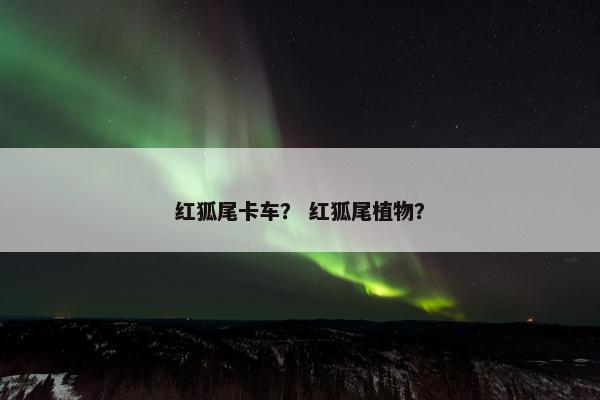 红狐尾卡车？ 红狐尾植物？