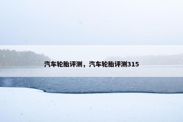 汽车轮胎评测，汽车轮胎评测315
