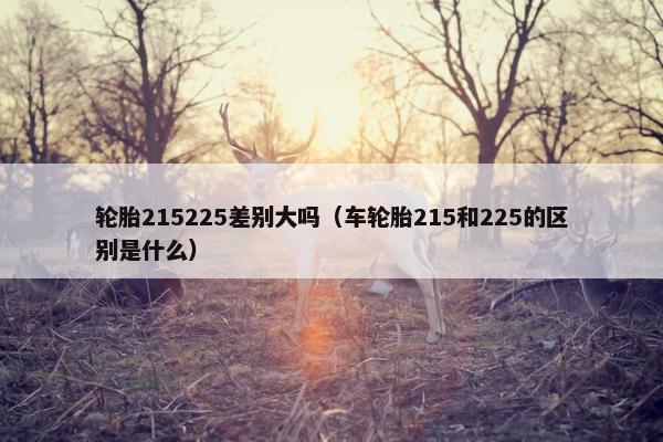 轮胎215225差别大吗（车轮胎215和225的区别是什么）
