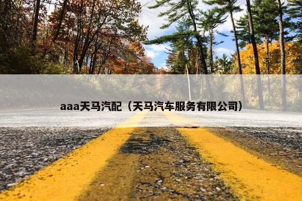 aaa天马汽配（天马汽车服务有限公司）