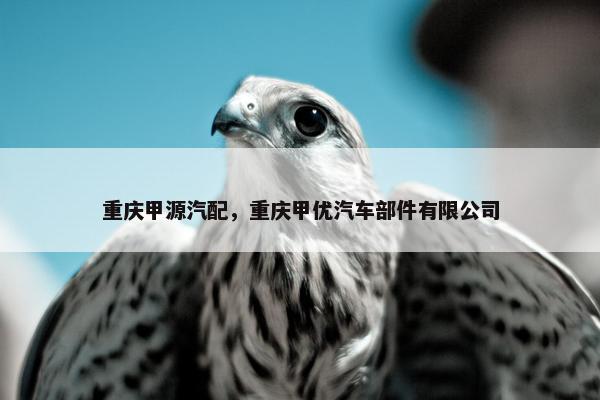 重庆甲源汽配，重庆甲优汽车部件有限公司