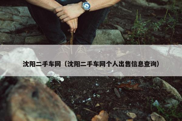 沈阳二手车网（沈阳二手车网个人出售信息查询）