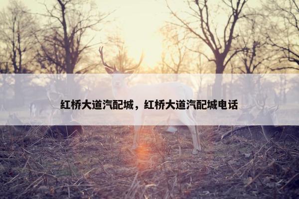 红桥大道汽配城，红桥大道汽配城电话
