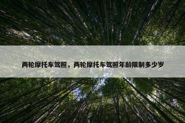 两轮摩托车驾照，两轮摩托车驾照年龄限制多少岁