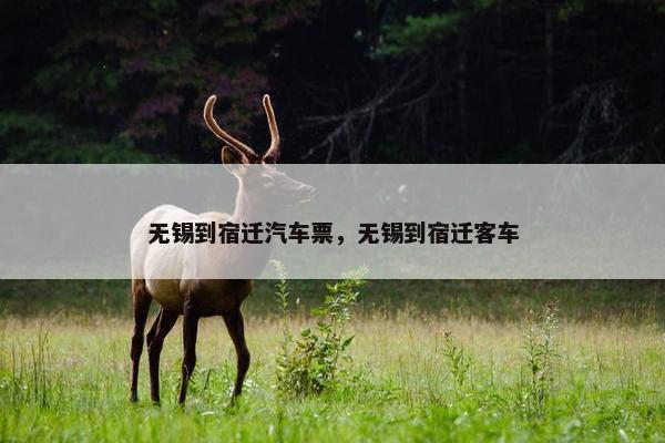 无锡到宿迁汽车票，无锡到宿迁客车