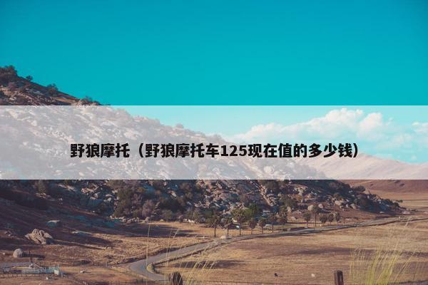 野狼摩托（野狼摩托车125现在值的多少钱）