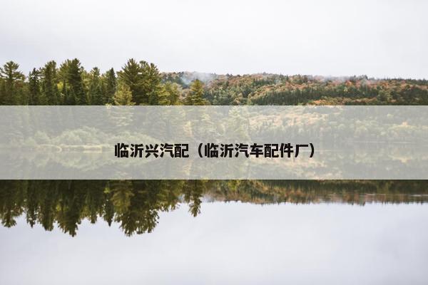 临沂兴汽配（临沂汽车配件厂）