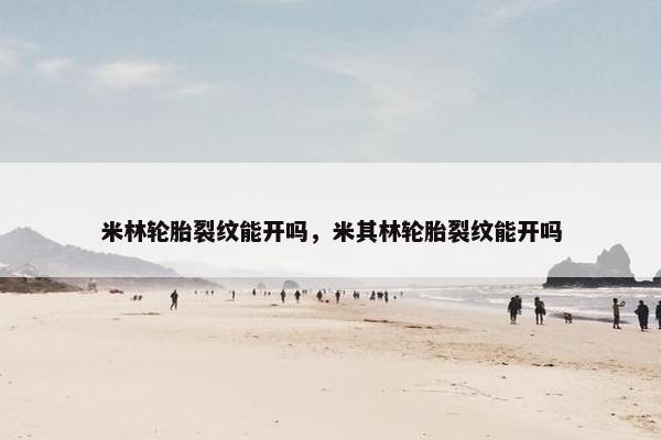 米林轮胎裂纹能开吗，米其林轮胎裂纹能开吗