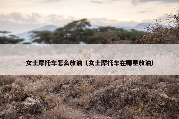 女士摩托车怎么放油（女士摩托车在哪里放油）