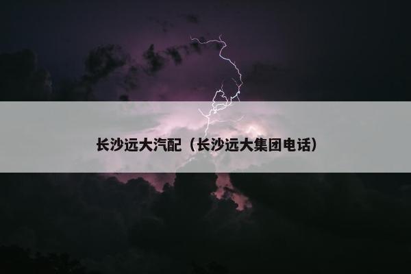 长沙远大汽配（长沙远大集团电话）
