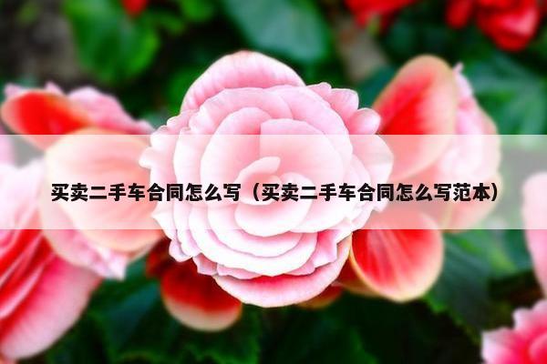 买卖二手车合同怎么写（买卖二手车合同怎么写范本）