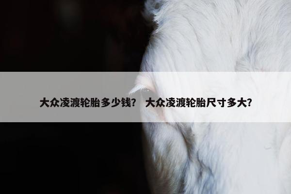 大众凌渡轮胎多少钱？ 大众凌渡轮胎尺寸多大？
