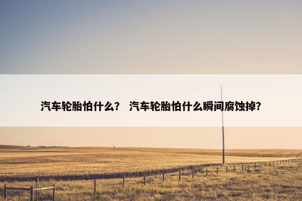 汽车轮胎怕什么？ 汽车轮胎怕什么瞬间腐蚀掉？