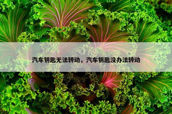 汽车钥匙无法转动，汽车钥匙没办法转动