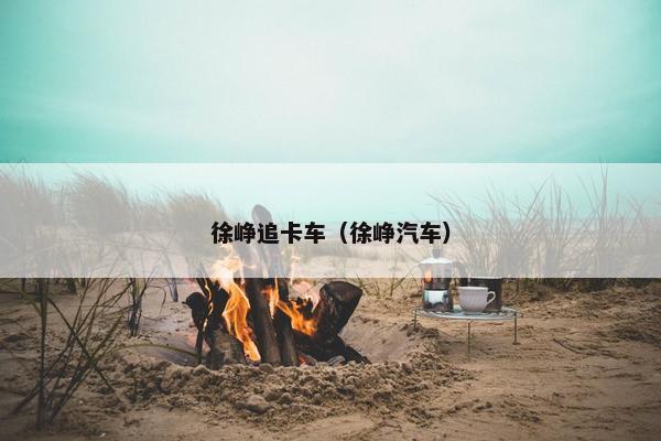 徐峥追卡车（徐峥汽车）