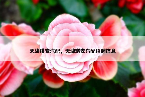 天津琪安汽配，天津琪安汽配招聘信息
