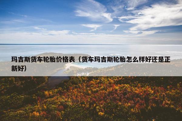 玛吉斯货车轮胎价格表（货车玛吉斯轮胎怎么样好还是正新好）