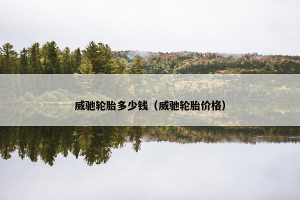 威驰轮胎多少钱（威驰轮胎价格）
