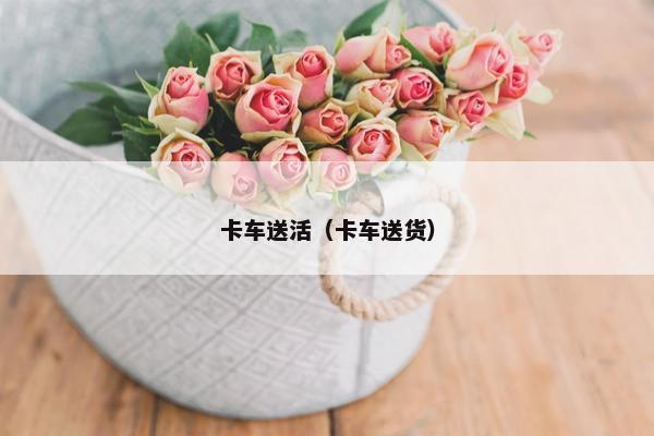 卡车送活（卡车送货）