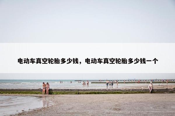 电动车真空轮胎多少钱，电动车真空轮胎多少钱一个