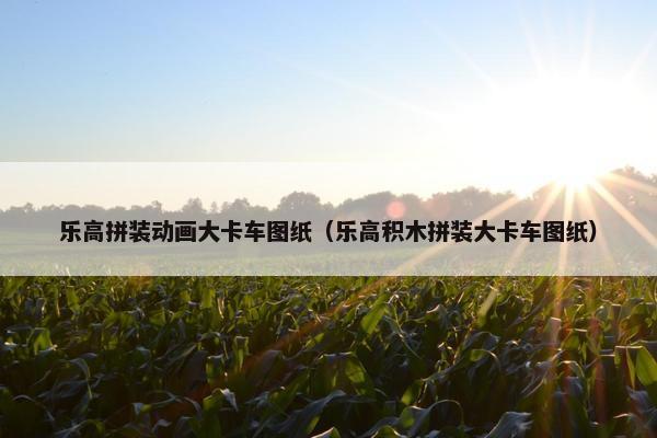 乐高拼装动画大卡车图纸（乐高积木拼装大卡车图纸）