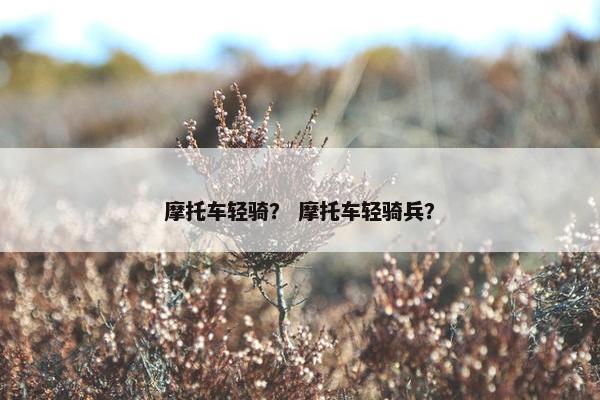 摩托车轻骑？ 摩托车轻骑兵？