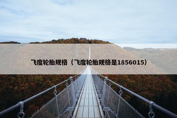 飞度轮胎规格（飞度轮胎规格是1856015）
